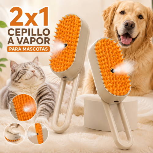 CEPILLO A VAPOR RECARGABLE, PARA MASCOTAS (2X1)